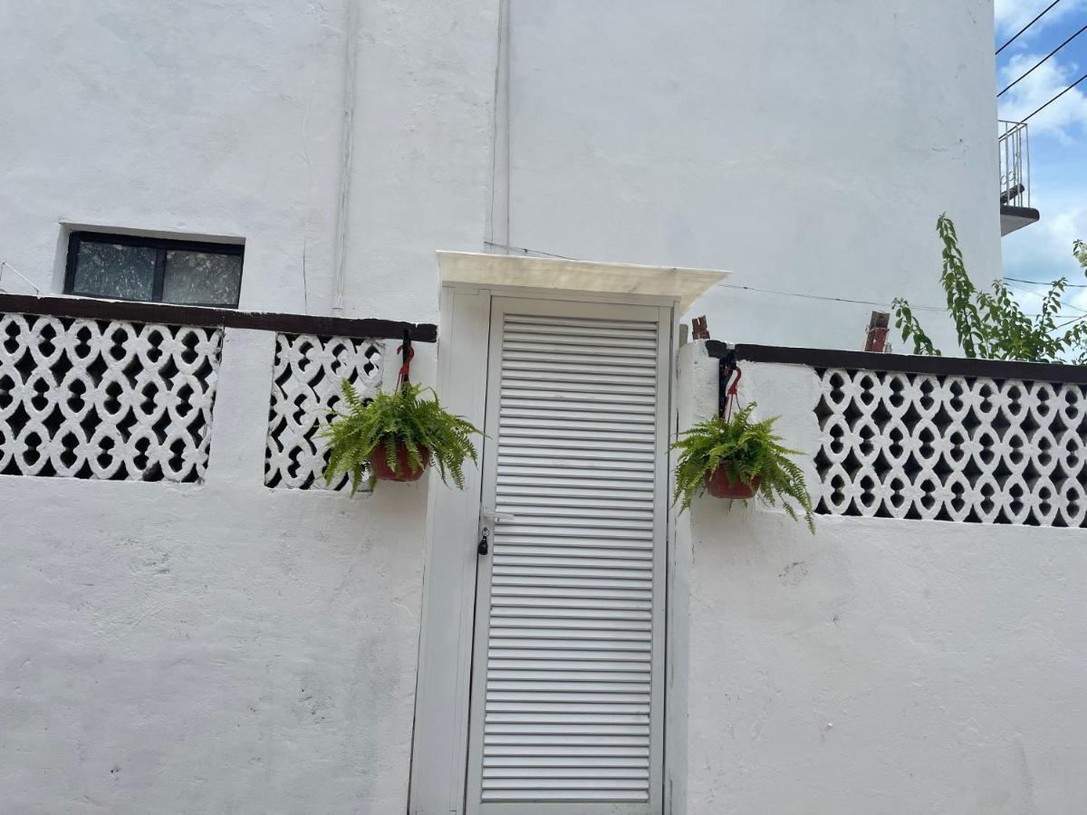 La Casa Del Colibri Daire Campeche Dış mekan fotoğraf