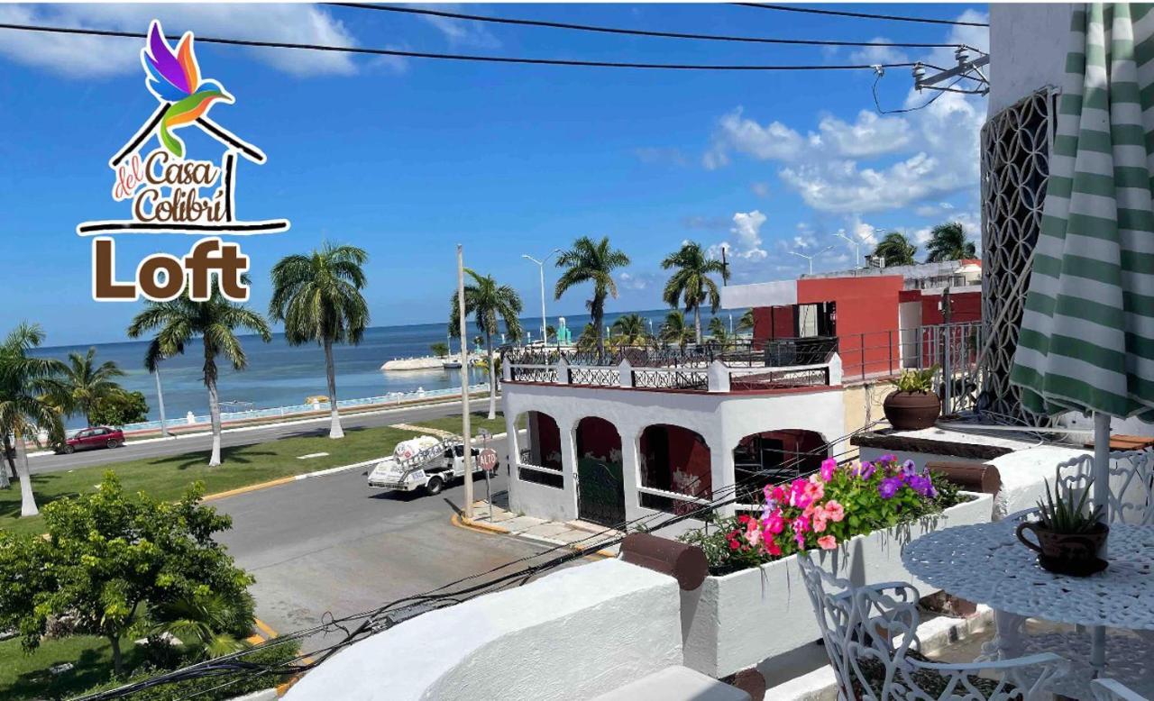 La Casa Del Colibri Daire Campeche Dış mekan fotoğraf