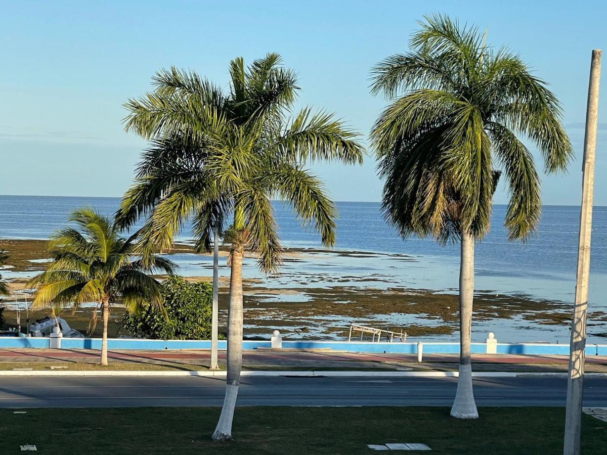 La Casa Del Colibri Daire Campeche Dış mekan fotoğraf