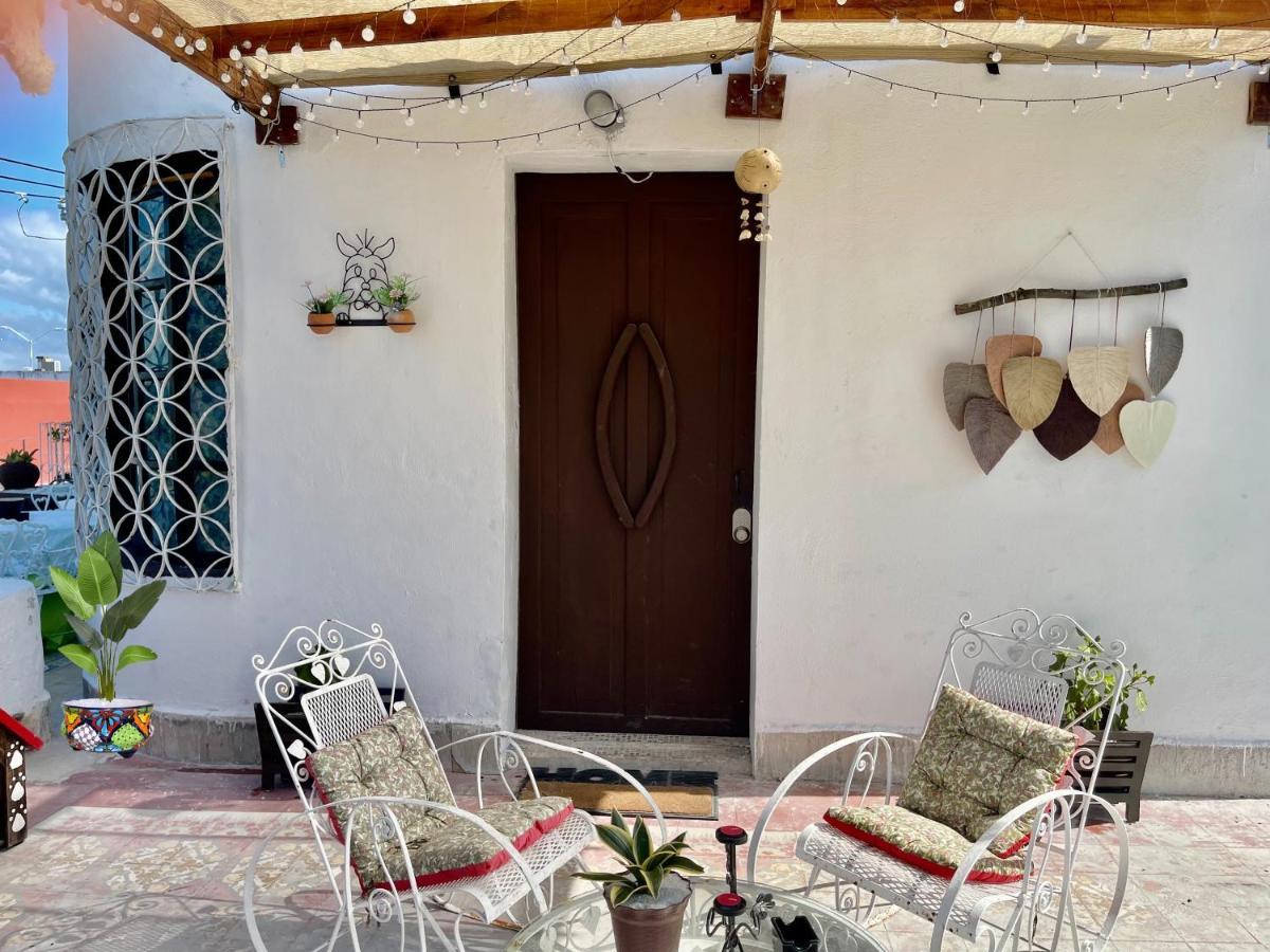 La Casa Del Colibri Daire Campeche Dış mekan fotoğraf