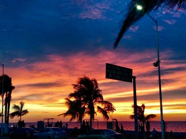 La Casa Del Colibri Daire Campeche Dış mekan fotoğraf